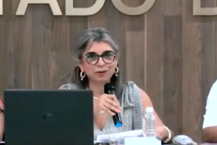 Marina-Reyna-Aguilar en_el_Panel_Perspectivas-sobre-la-violencia-que-sufren-las-mujeres